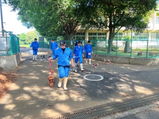 園芸高等学校の紹介画像_05