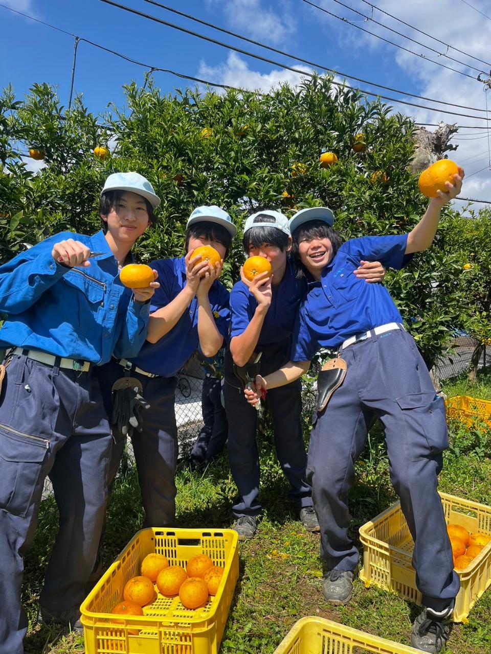 園芸高等学校の紹介画像_01